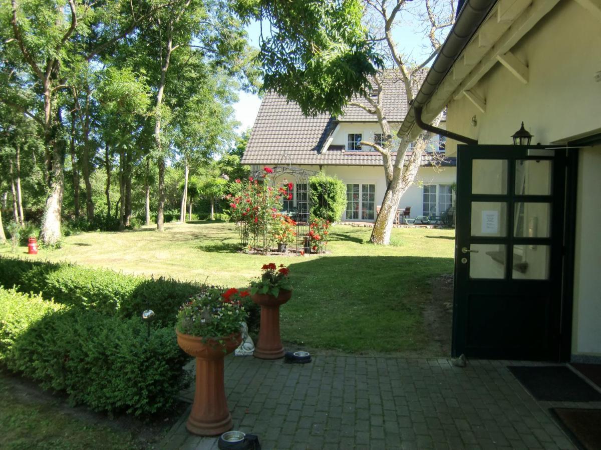 Auszeit Auf Rugen Haus Nr. 8 Daire Nardevitz Oda fotoğraf